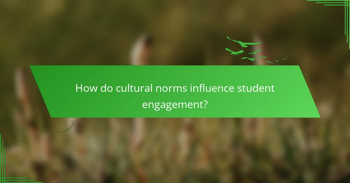 How do cultural norms influence student engagement?