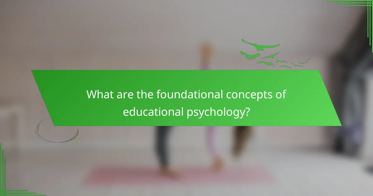 What are the foundational concepts of educational psychology?