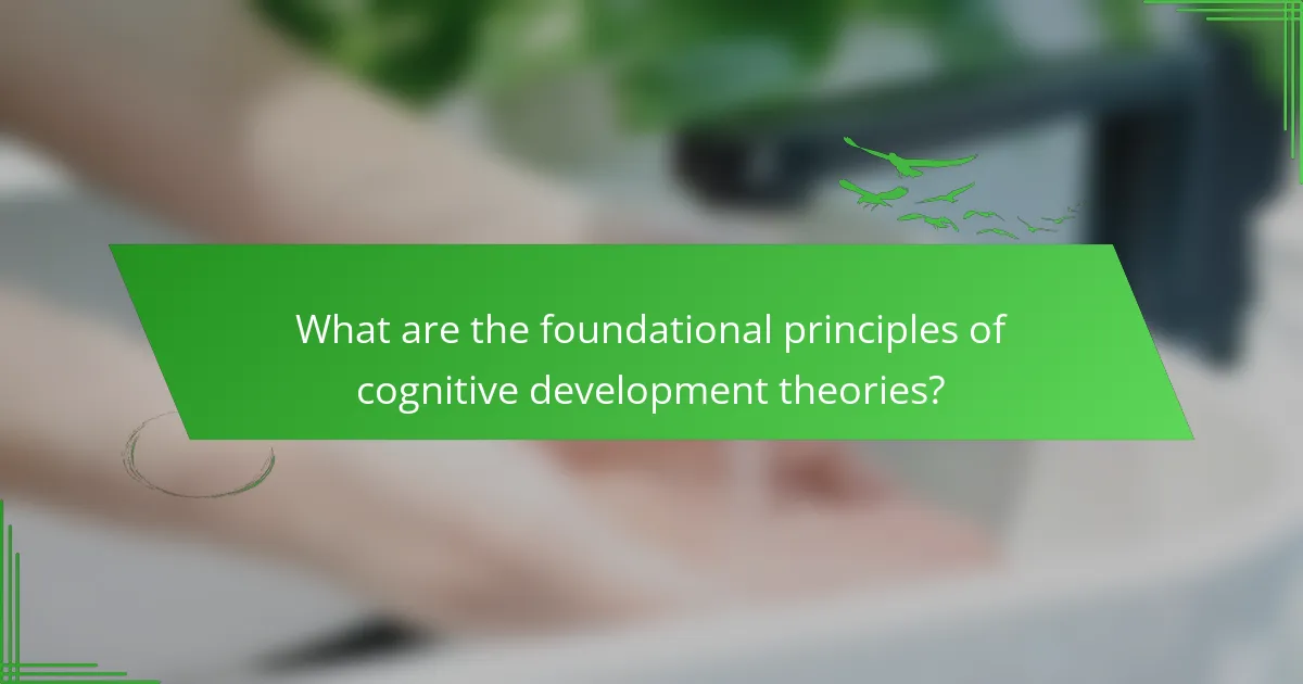 What are the foundational principles of cognitive development theories?
