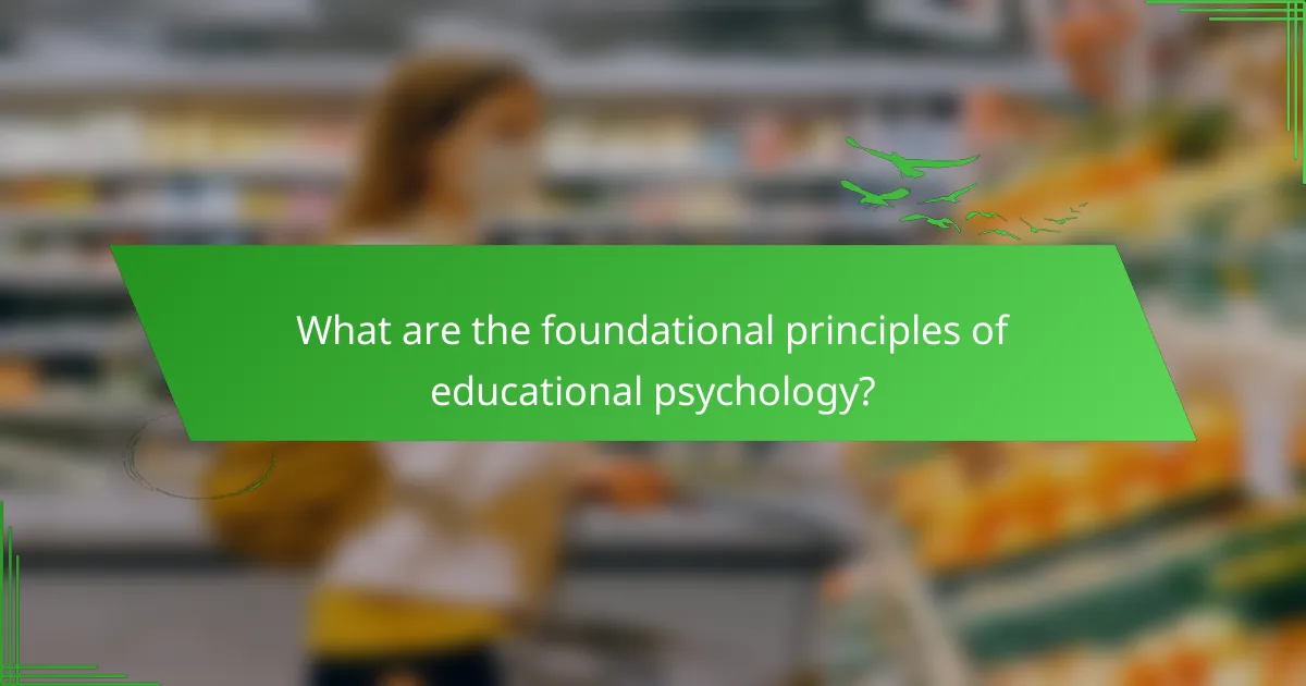 What are the foundational principles of educational psychology?