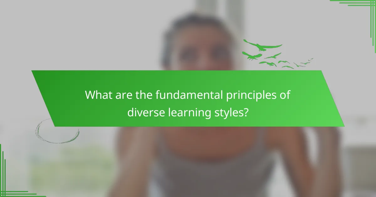 What are the fundamental principles of diverse learning styles?