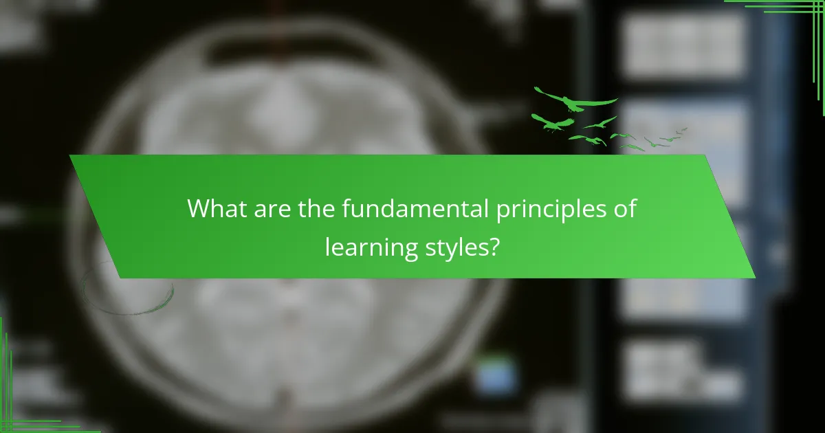 What are the fundamental principles of learning styles?
