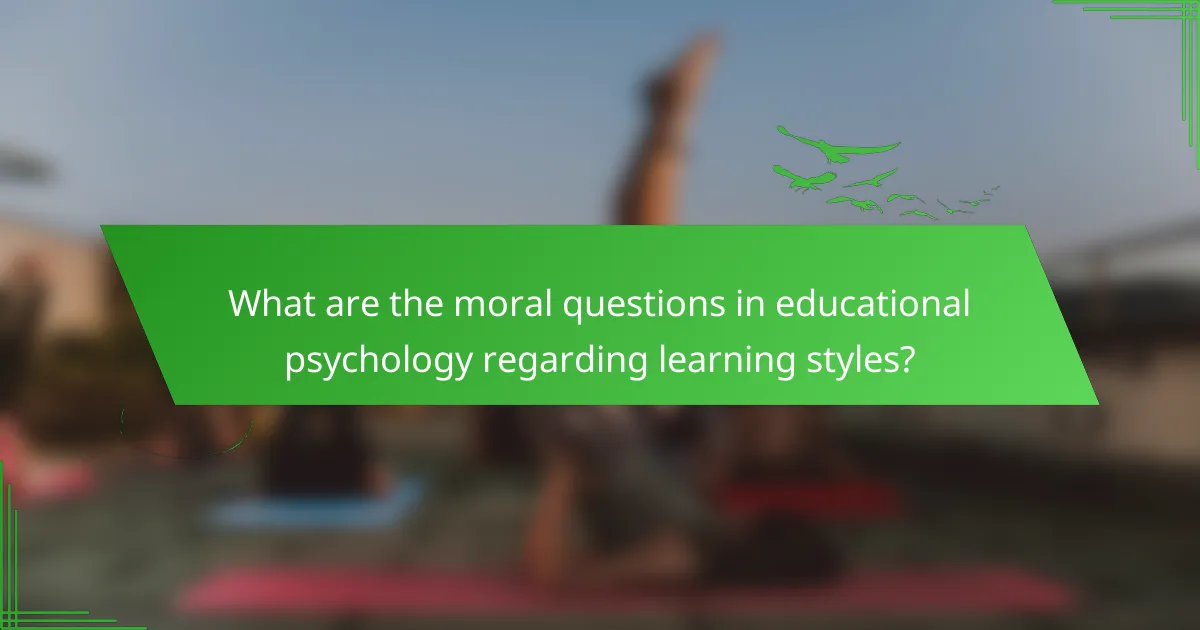 What are the moral questions in educational psychology regarding learning styles?