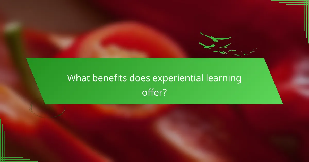 What benefits does experiential learning offer?