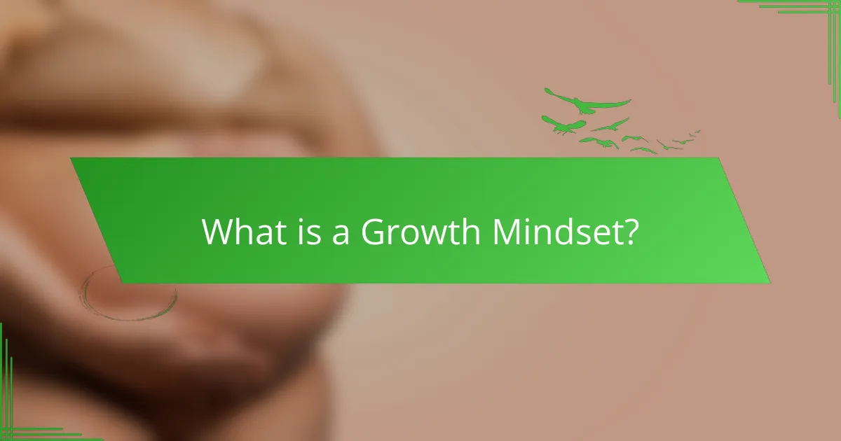 What is a Growth Mindset?